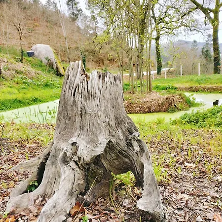 Quinta De Sabarigos *