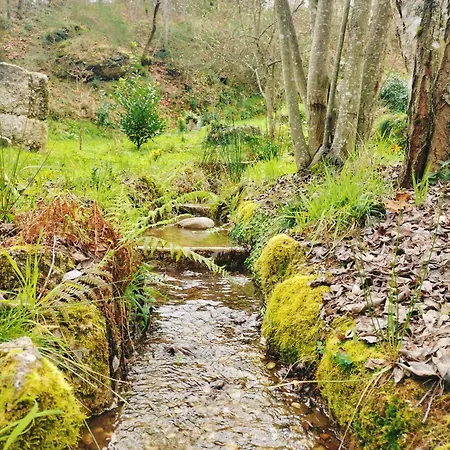 Quinta De Sabarigos