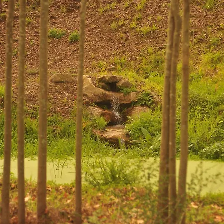 Quinta De Sabarigos * Marco de Canavezes